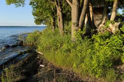 Water levels fluctuate dramatically, disrupting the entire ecosystem