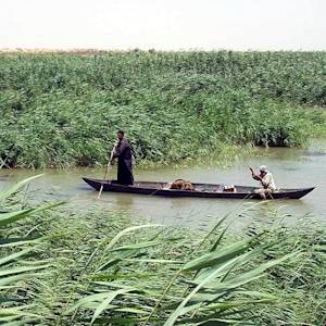 The Water is Gone, The Land Is Dry, Desert Wetlands Drained