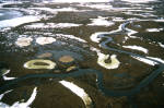 Russian Wetland Tundra