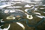 Russian Wetland Tundra