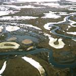 Russian Wetland Tundra