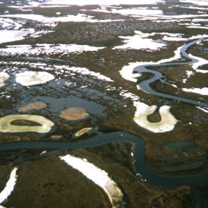 Russian Wetland Tundra