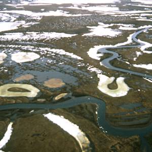 Russian Wetland Tundra