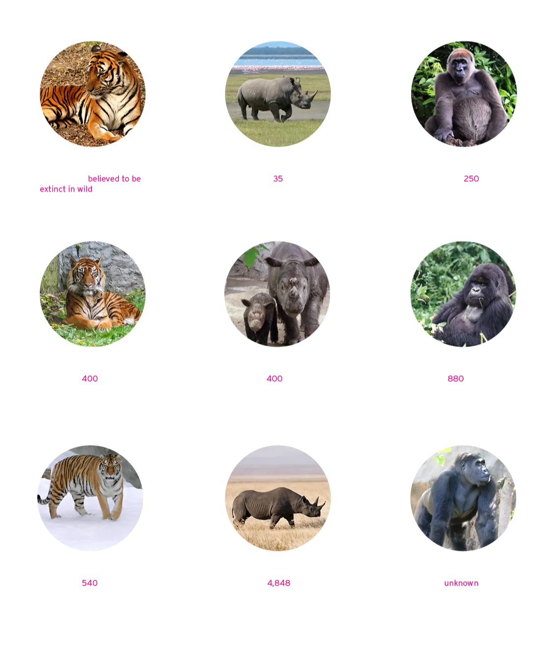 WYCD endangered species - critically endangered species bubble graphic 1/2