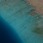 Parks & Reserves: Natural Park of the Coral Sea