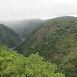 Wet Tropics of Queensland