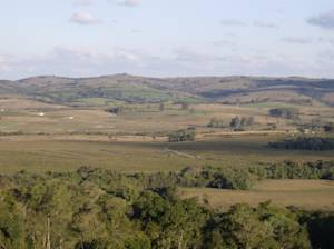 Uruguayan Savanna