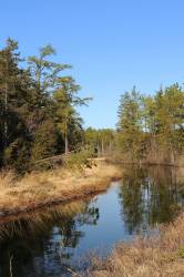 New Jersey Pinelands is a force of renewal