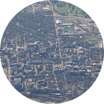 Where Did The Animals Go?