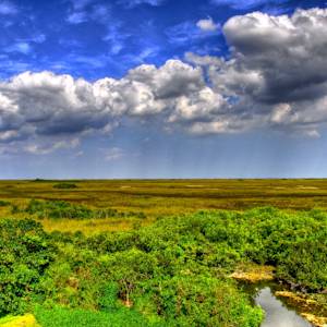 The Florida Everglades, largest wetland restoration