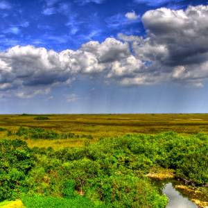 The Florida Everglades, largest wetland restoration 