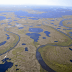 The Great Vasyugan Mire (Bolshoye Vasyuganskoye)