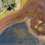 New South Wales Wetlands Restoration