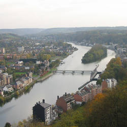 Reintroduction of Salmon to the Meuse River