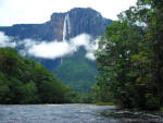 Venezuela has highest level of protected forest in the world