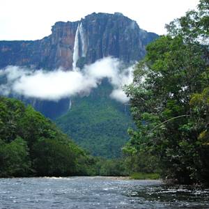 Venezuela has highest level of protected forest in the world