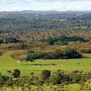 Parque Nacional Natural Serranía de Manacacías, protecting link between Llanos and Amazon