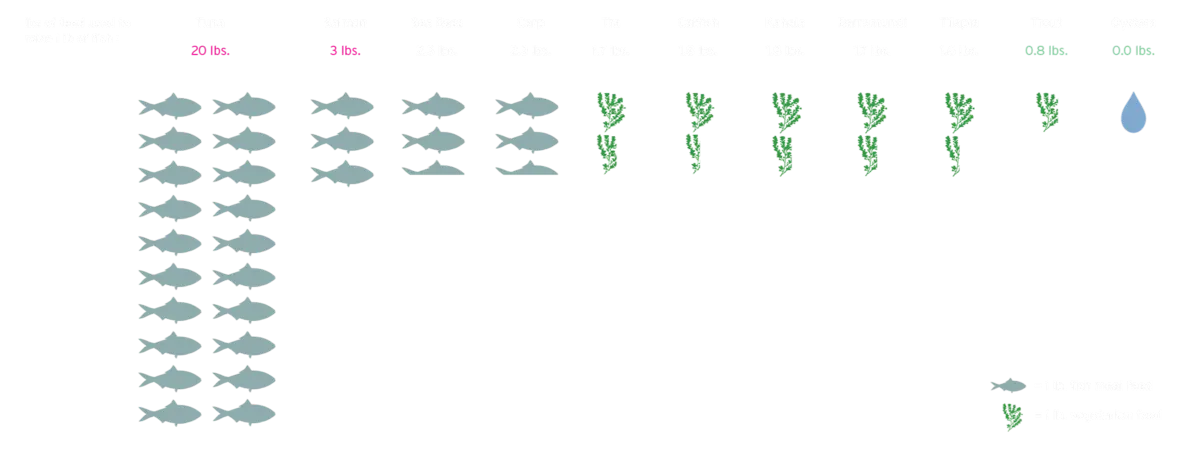 WYCD & Greenprint Key Infographics for PNG75