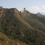 China leads the world in forest growth