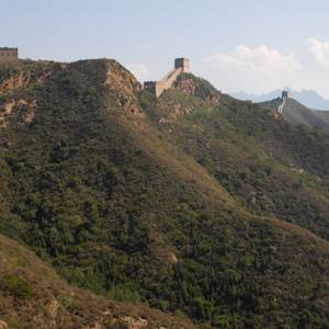 China leads the world in forest growth
