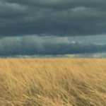 Grasslands