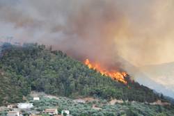 56,000 Wildfires Across Southern Europe