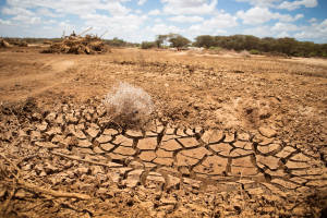 Groundwater depletion accelerates worldwide