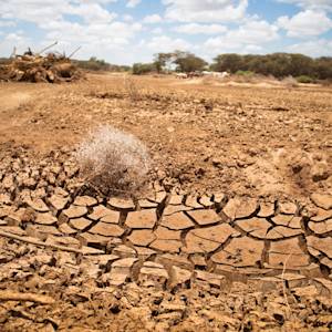Groundwater depletion accelerates worldwide
