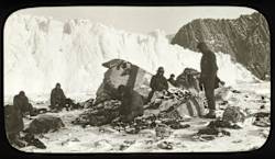 Rot and carcasses at Grytviken