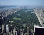 Central Park, urban oasis for migratory birds