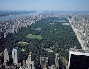 Central Park, urban oasis for migratory birds