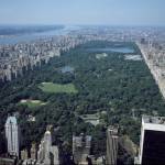 Central Park, urban oasis for migratory birds