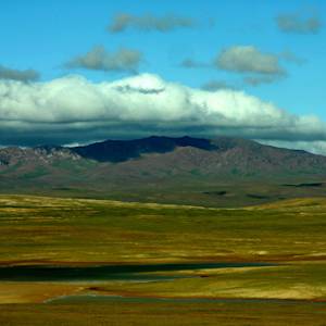Parks & Reserves: Qinghai Hoh Xil Nature Reserve