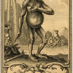 First European Depiction of Chimpanzee, Gerard Scotin