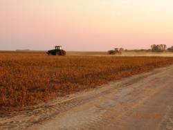 Soy boom devours Brazil’s tropical savanna