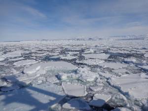 Parks & Reserves: Ross Sea MPA