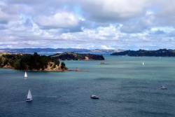 New fishing restrictions in Hauraki Gulf protect threatened areas