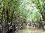 Indochina Mangroves
