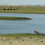 Parks & Reserves: Kavango-Zambezi Transfrontier (KAZA)