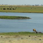 Parks & Reserves: Kavango-Zambezi Transfrontier (KAZA)