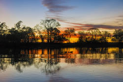 UNESCO recognized Pantanal National Park as World Heritage Site