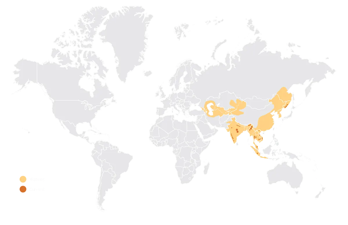 WYCD - endangered species - Tigers Historic Range Map