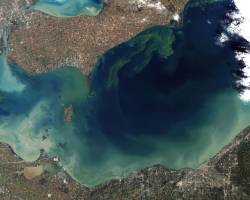 Algal blooms return to Erie