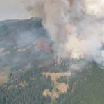 More and More Wildfire Smoke