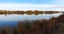 Climate change may cause an increase in flooding on the Columbia