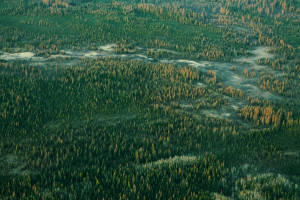 Largest boreal protected forest, Kitaskino Nuwenene Wildland Park