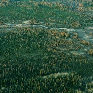 Largest boreal protected forest, Kitaskino Nuwenene Wildland Park