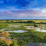 The Pantanal, The world’s largest tropical wetland