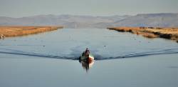 Fish dwindling in Lake Titicaca