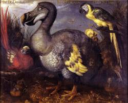 Copycat errors led to inaccurate perception of Dodo